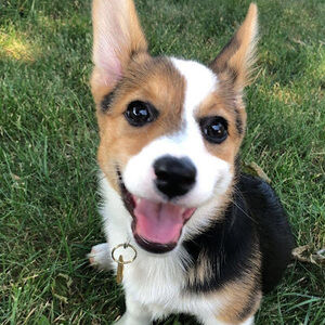 Meet your Posher, Deidra